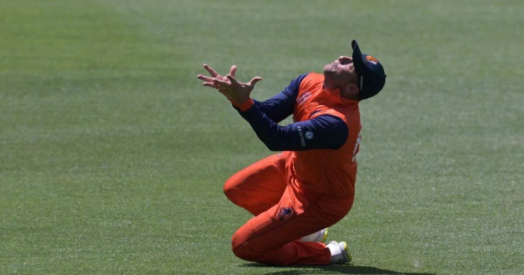 Cricket Tips & Tricks: Tips To Improve Your Catching Skills  