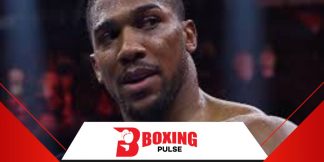 क्या फ्यूरि और जोशुआ का मुकाबला संभव है  