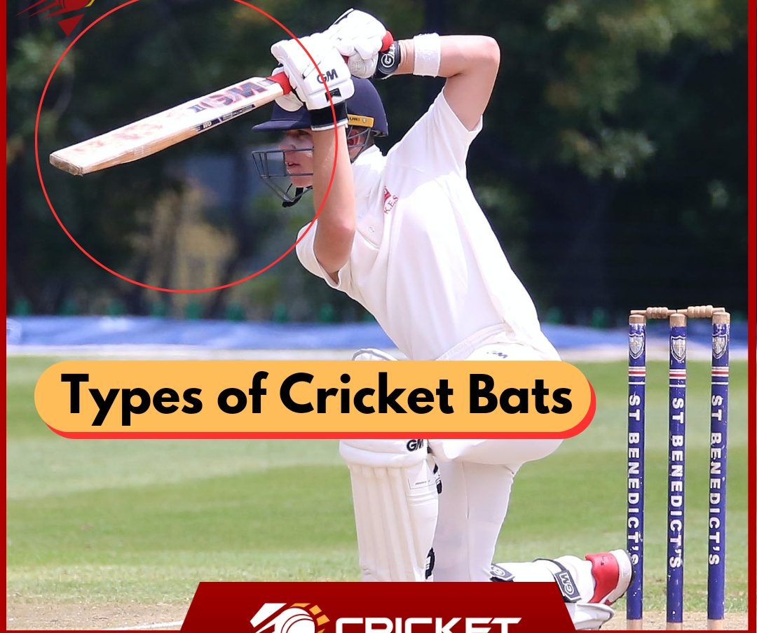 Types of Cricket Bats in Hindi | क्रिकेट बैट के प्रकार  