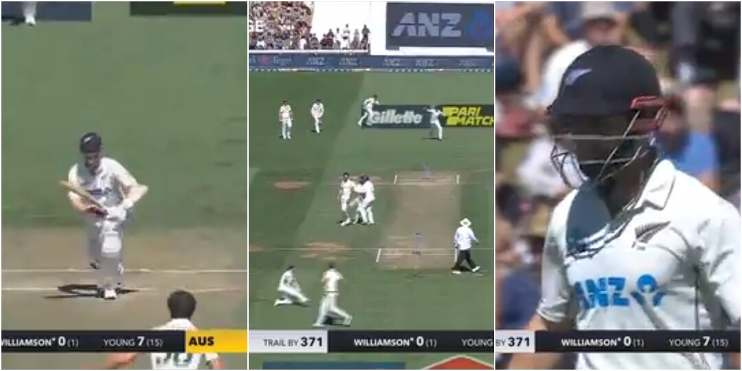 Watch Kane Williamson Run Out in Bizzare Collision  
