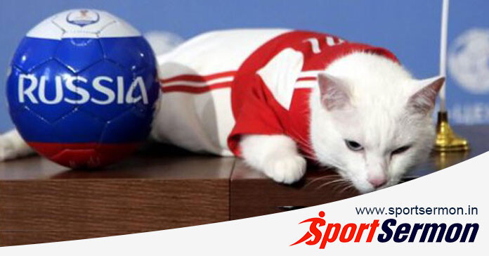 Predictions From Animals That Have Gone Viral in the World  