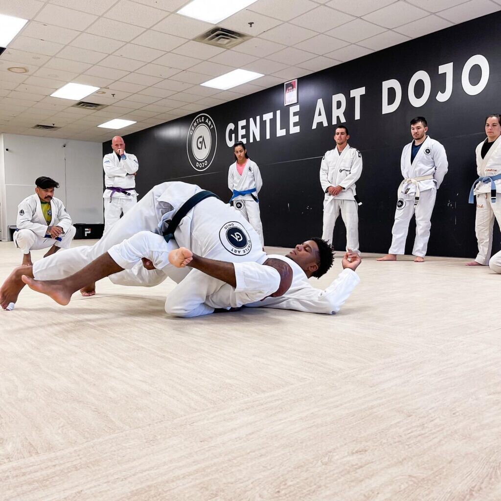 Brazilian Jiu-Jitsu History: The Perfect Martial Art  