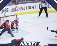 आइस हॉकी : यूरोप और उत्तरी भारत में मची है इसकी धूम  