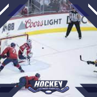 आइस हॉकी : यूरोप और उत्तरी भारत में मची है इसकी धूम  