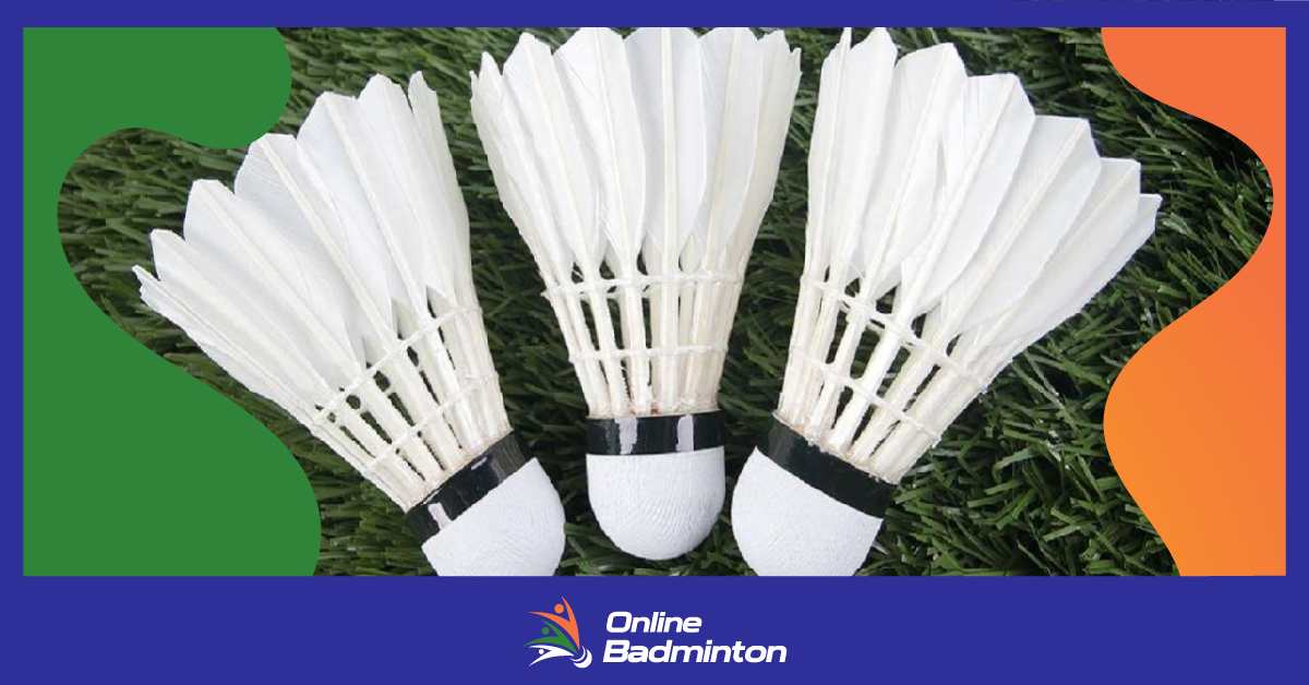 Badminton के लिए पंख रहित Shuttlecocks के फायदे  