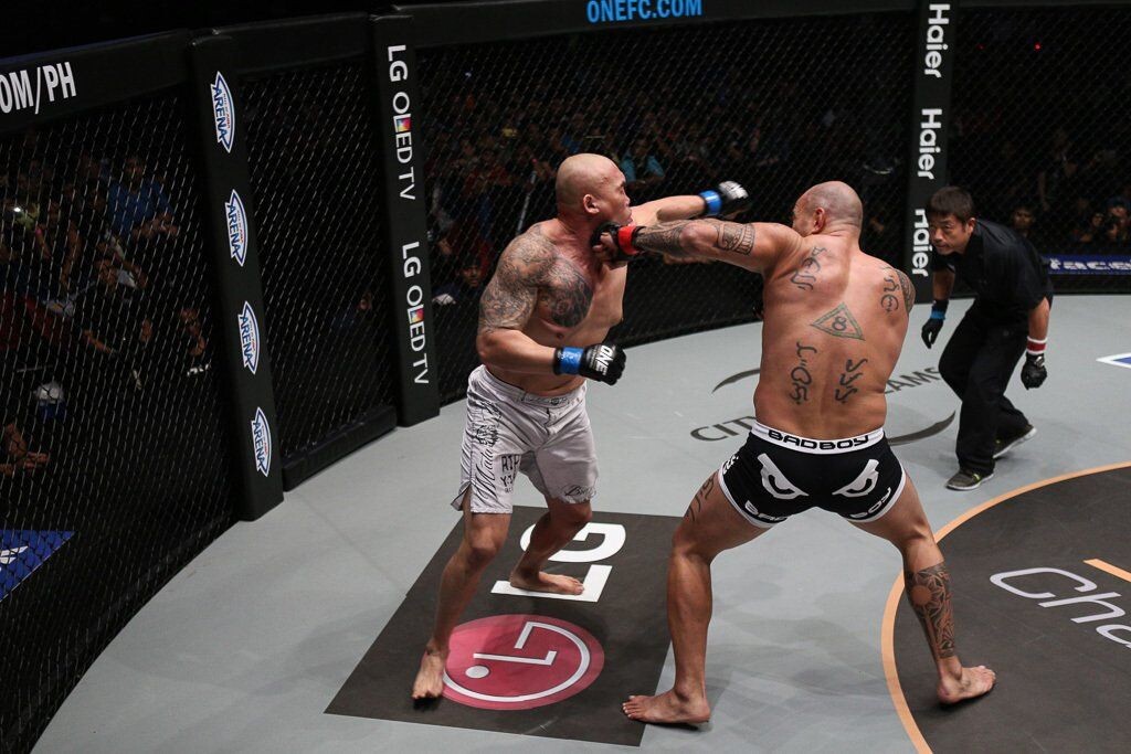 10 Best MMA Head Kick Knockouts in The History  