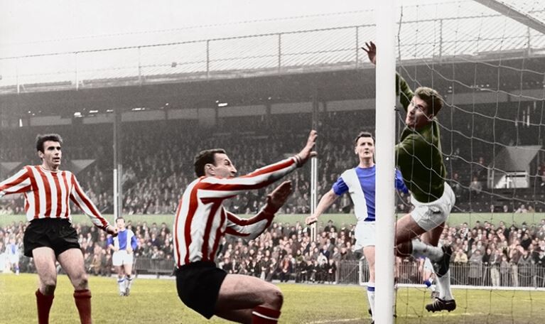 Brentford FC: The Rise of the Bees  