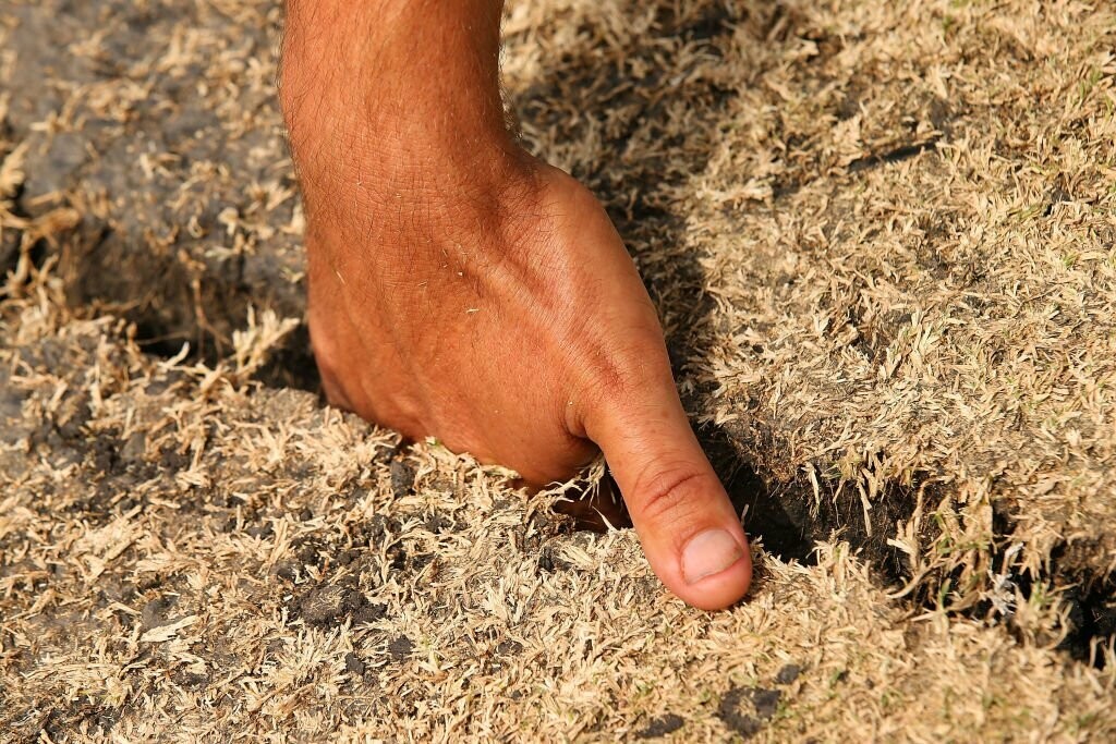 What are the different types of Cricket Pitches?  