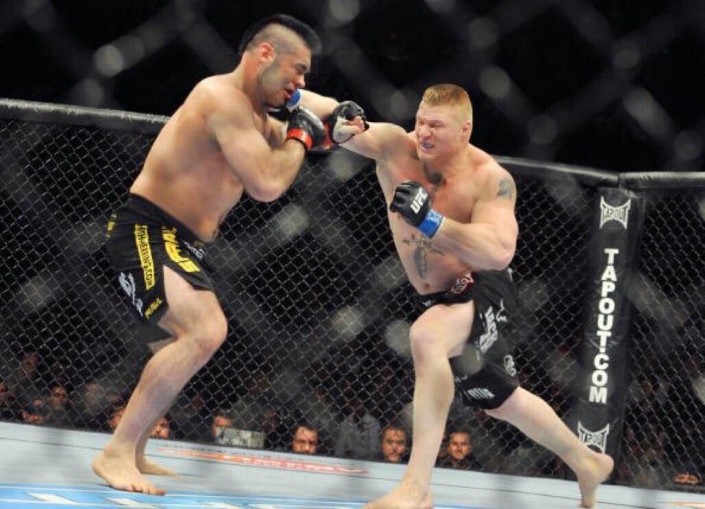 Things About Brock Lesnar's UFC Career You Might Not Know  