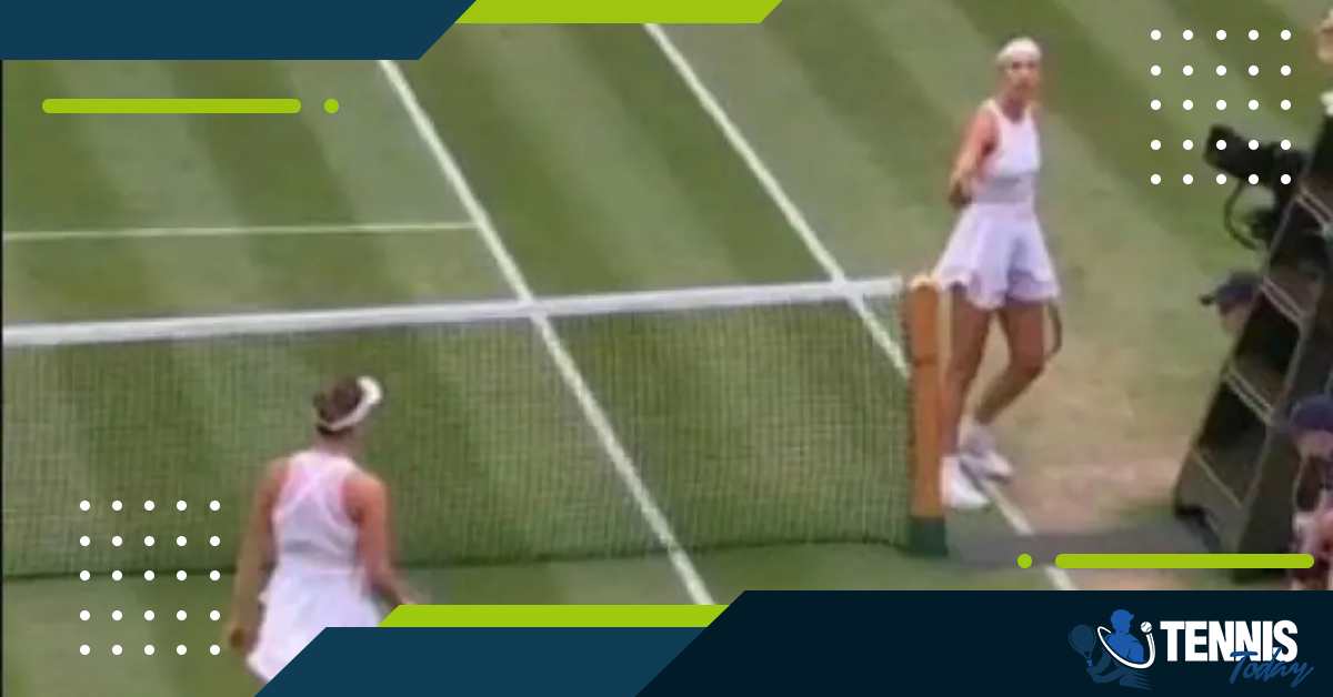 Wimbledon 2023: Svitolina ने Azarenka को लेकर कही ये बात  