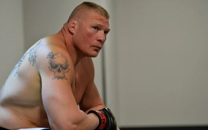 Things About Brock Lesnar's UFC Career You Might Not Know  