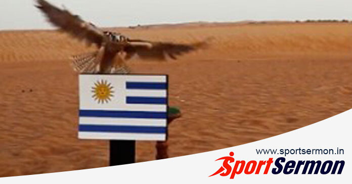 Predictions From Animals That Have Gone Viral in the World  