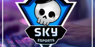 Skyesports CEO Tweet: भारतीय Esports को चिंतित करता ट्विट  