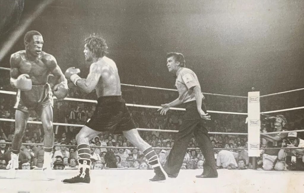 List Of All Weight Divisions In Professional Boxing  