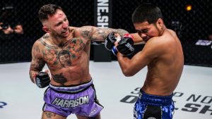 A Complete Guide On Muay Bouk Style  