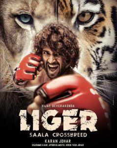 Top 10 must-watch Indian movies on MMA  