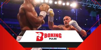 Professional Boxing Gloves: जोशुआ,फ्यूरी, करते हैं इस्तेमाल  