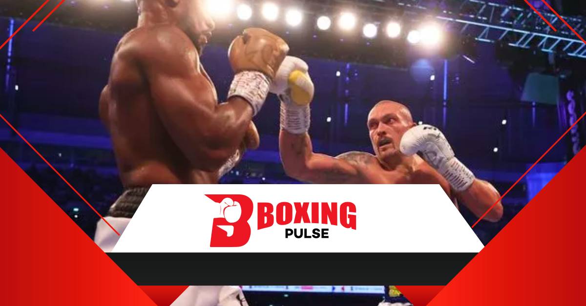 Professional Boxing Gloves: जोशुआ,फ्यूरी, करते हैं इस्तेमाल  