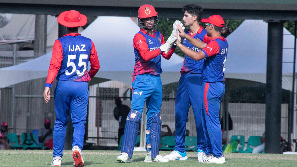 NZ U19 vs AFG U19 Live Score, ICC U19 World Cup 2024  