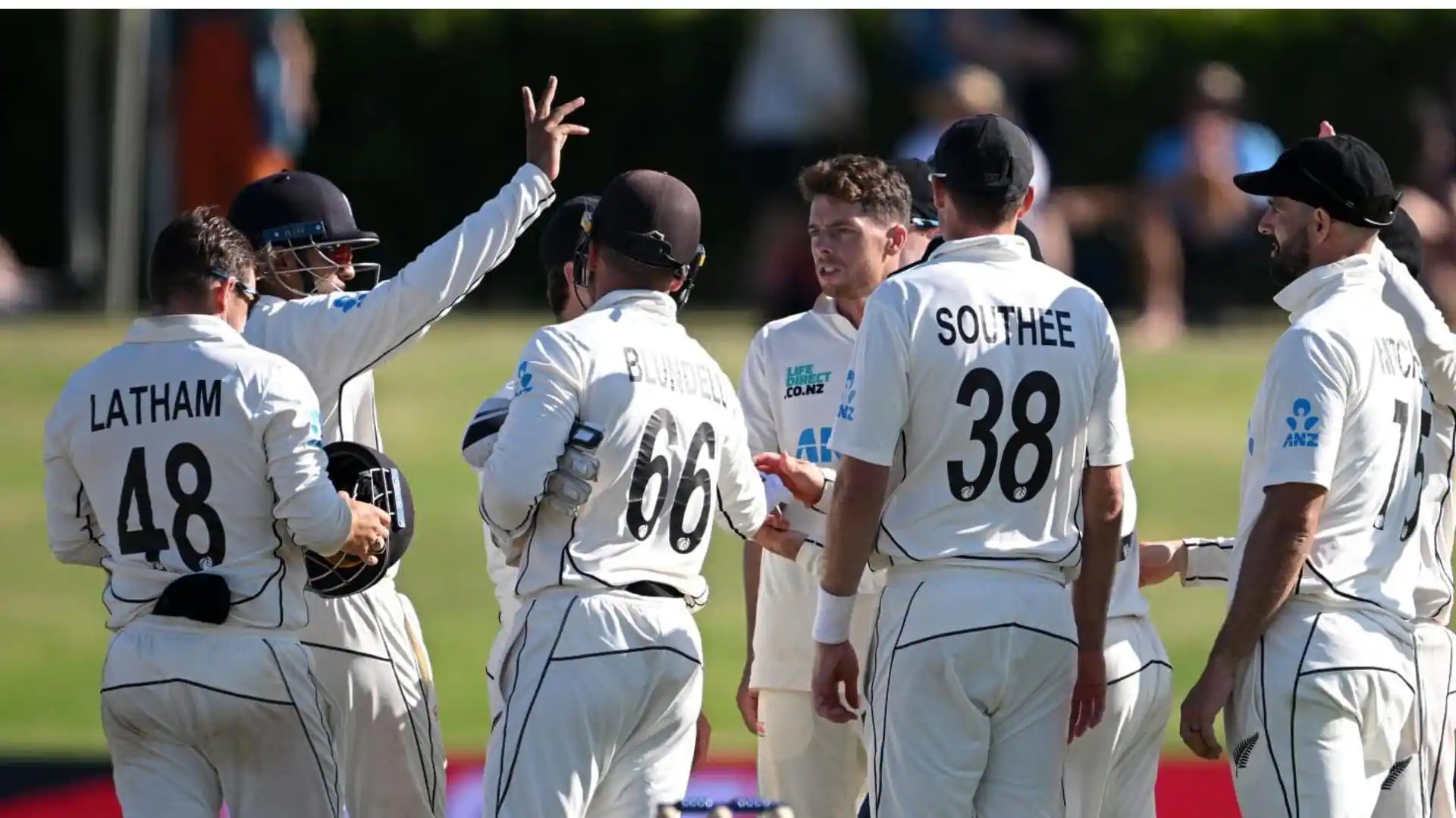 AUS vs NZ 2nd Test, Australia vs New Zealand 2nd Test  