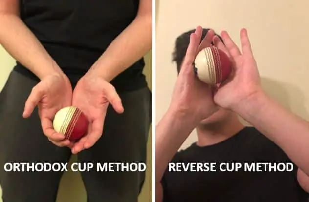 Cricket Tips & Tricks: Tips To Improve Your Catching Skills  