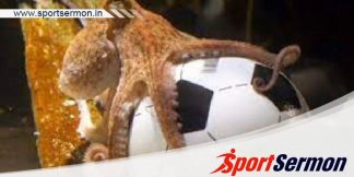 Paul the Octopus and His Unforgettable Legacy  