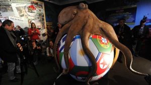 Paul the Octopus and His Unforgettable Legacy  