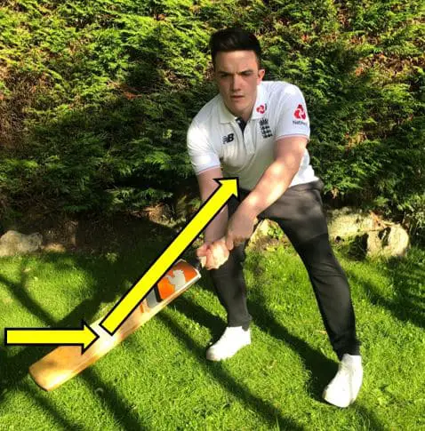 Learn How To Play The Best Cricket Shot  