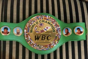 How many boxing titles are there? Explained in detail!  