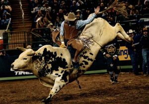 Here's top 10 Most dangerous sports in the world!  