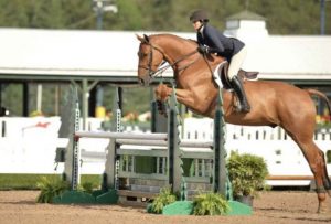 Here's top 10 Most dangerous sports in the world!  