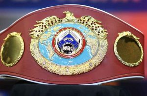 How many boxing titles are there? Explained in detail!  