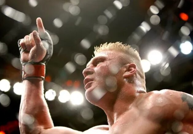 Things About Brock Lesnar's UFC Career You Might Not Know  