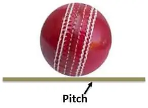 Cricket Tips And Tricks: Top Tips To Bowl With A New Ball  