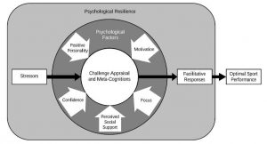 Decoding Sports Psychological Resilience in all ages  
