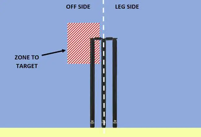 Cricket Tips And Tricks: Top Tips To Bowl With A New Ball  