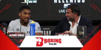 ये चार बोक्सर्स वाइल्डर को कर सकते है रिप्लेस  