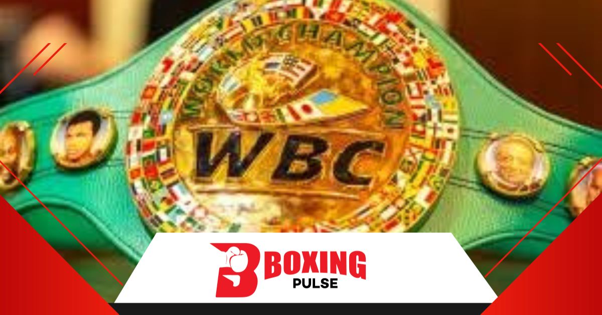 क्या फ्रांसिस नगनौ का नाम WBC रैंकिंग मे आ चुकी है या नही  