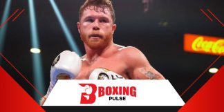 कैनेलो ने कहा कोई भी मुझे लड़ने के लिए मजबूर नही कर सकता है  