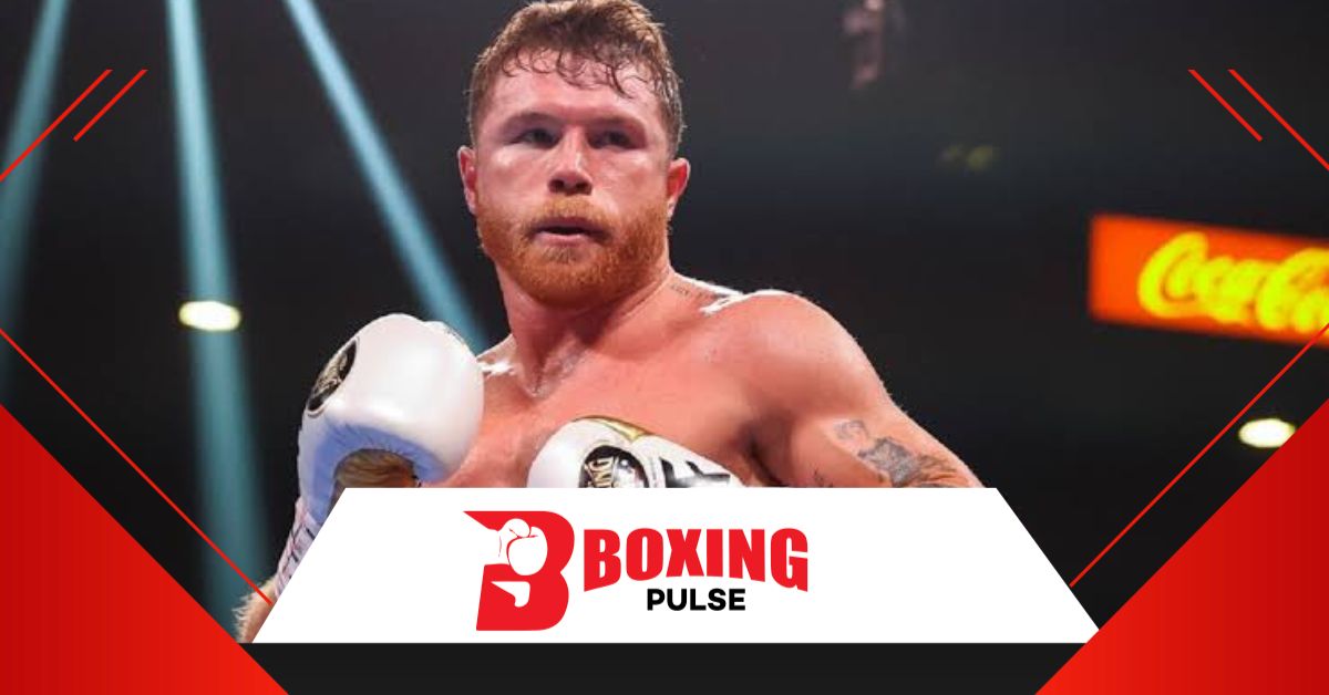 कैनेलो ने कहा कोई भी मुझे लड़ने के लिए मजबूर नही कर सकता है  