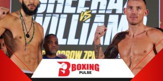 हमज़ा शीराज़ ने विलियम्स को हरा दिया  