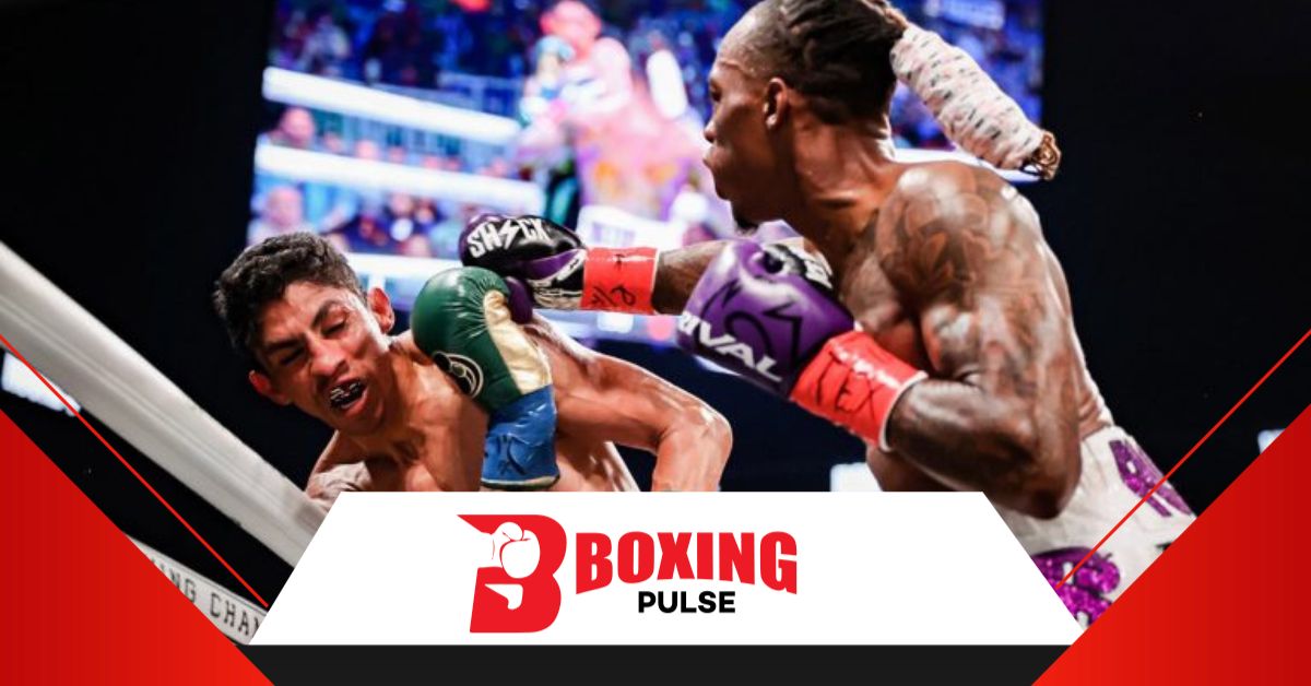 शकी फोस्टर एक बड़े बोक्सर के रूप मे उभर रहे है  