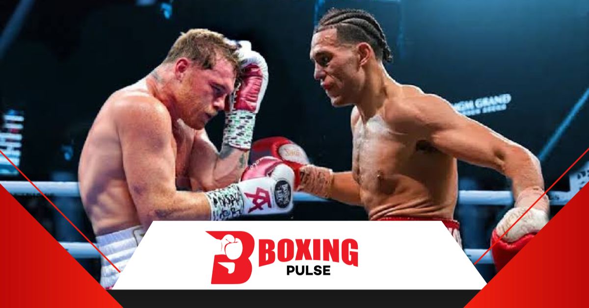 कैनेलो और बेनाविदेज़ के लडाई का है इंतज़ार  