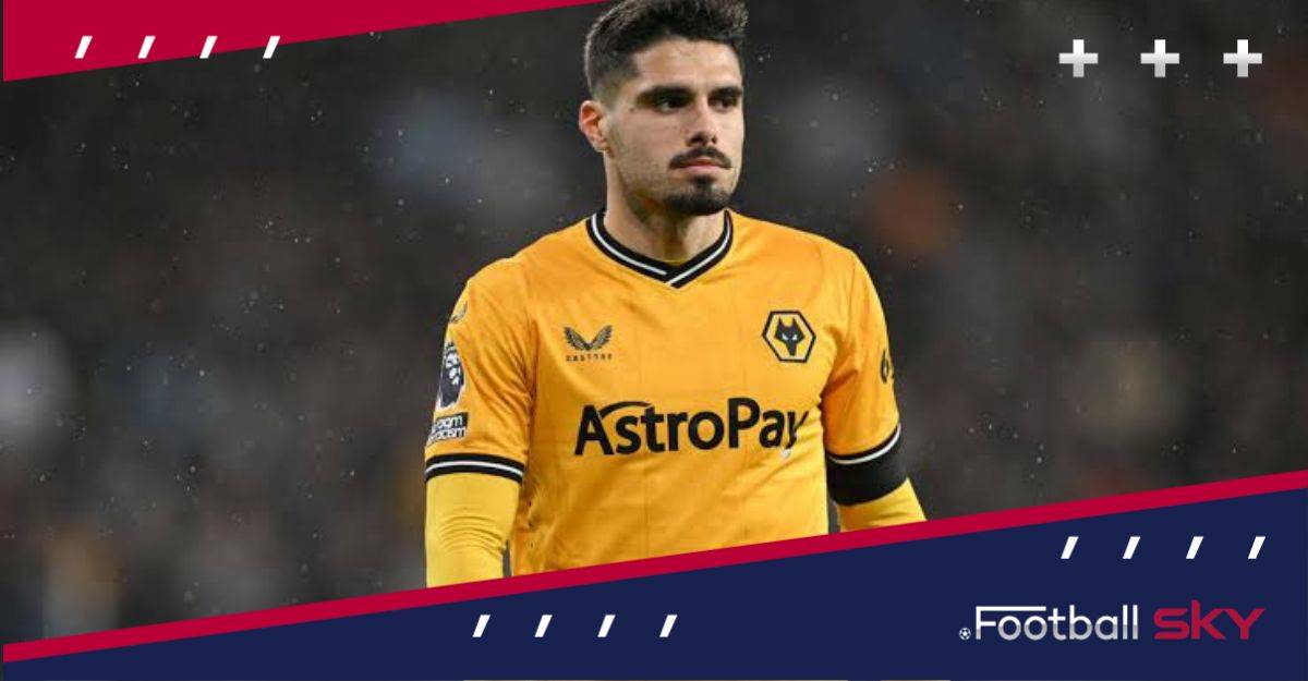 वॉल्वस के लिए नेटो का सीजन रहा कमाल का  