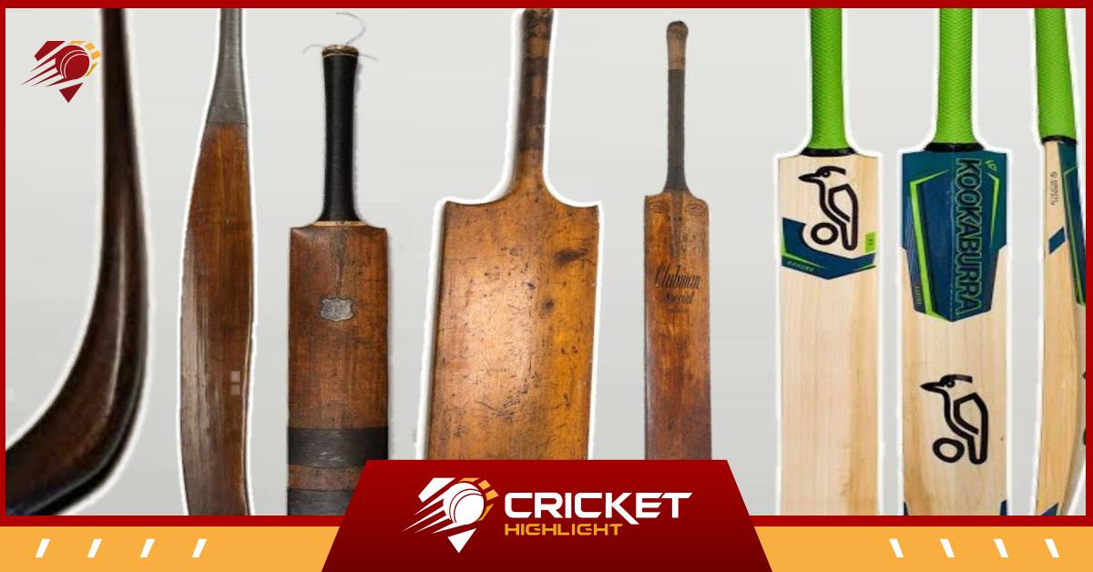Best Kashmir Willow Bats 7 गाँव जो बनाते हैं सबसे बेस्ट बैट  