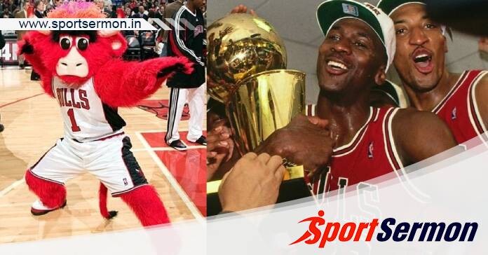 10 Facts About Chicago Bulls That NBA Fans Should Know  