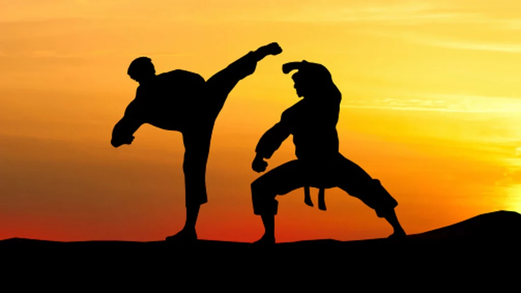 Brazilian Jiu-Jitsu History: The Perfect Martial Art  