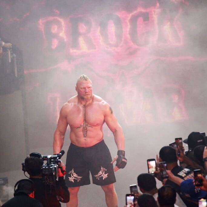 Things About Brock Lesnar's UFC Career You Might Not Know  