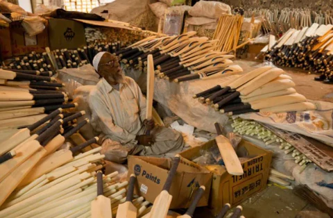 Step by Step Guide On How Cricket Bats Are Made  