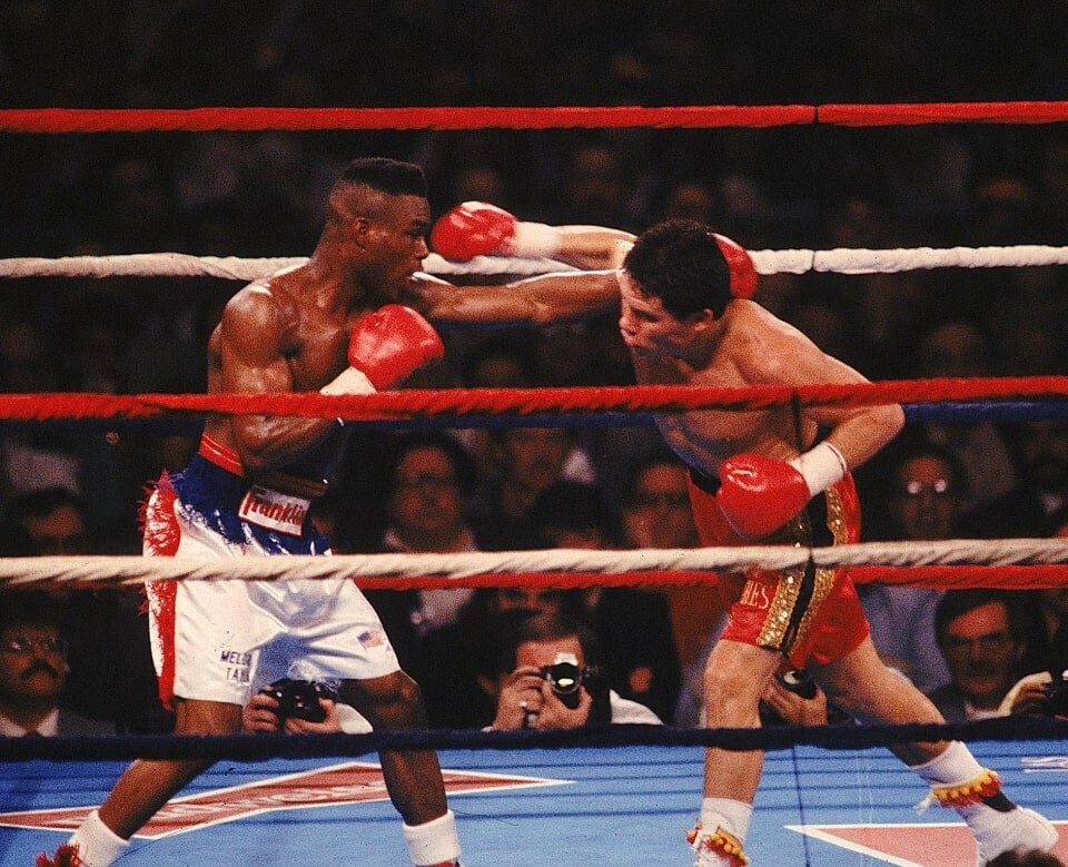 List Of All Weight Divisions In Professional Boxing  